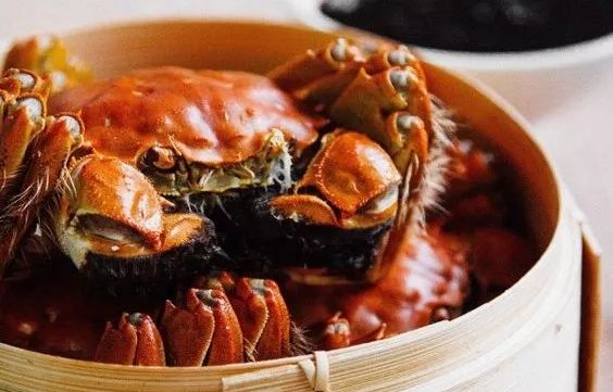 蘇州·泊悅灣，城市鄉(xiāng)村間人們何嘗不是兩棲動(dòng)物