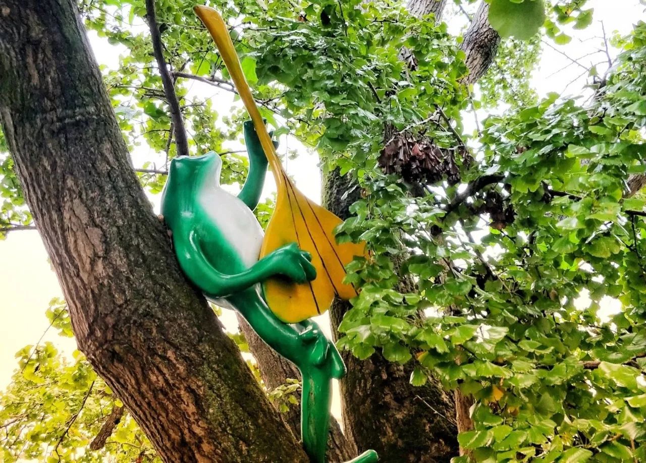 蘇州·泊悅灣，城市鄉(xiāng)村間人們何嘗不是兩棲動物