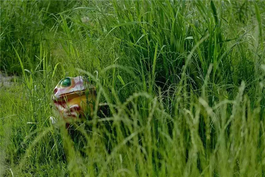 蘇州·泊悅灣，城市鄉(xiāng)村間人們何嘗不是兩棲動物