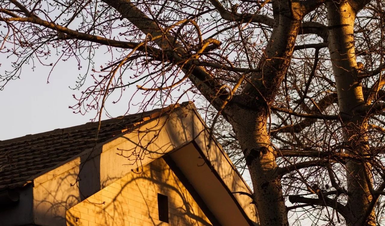 蘇州·泊悅灣，城市鄉(xiāng)村間人們何嘗不是兩棲動(dòng)物