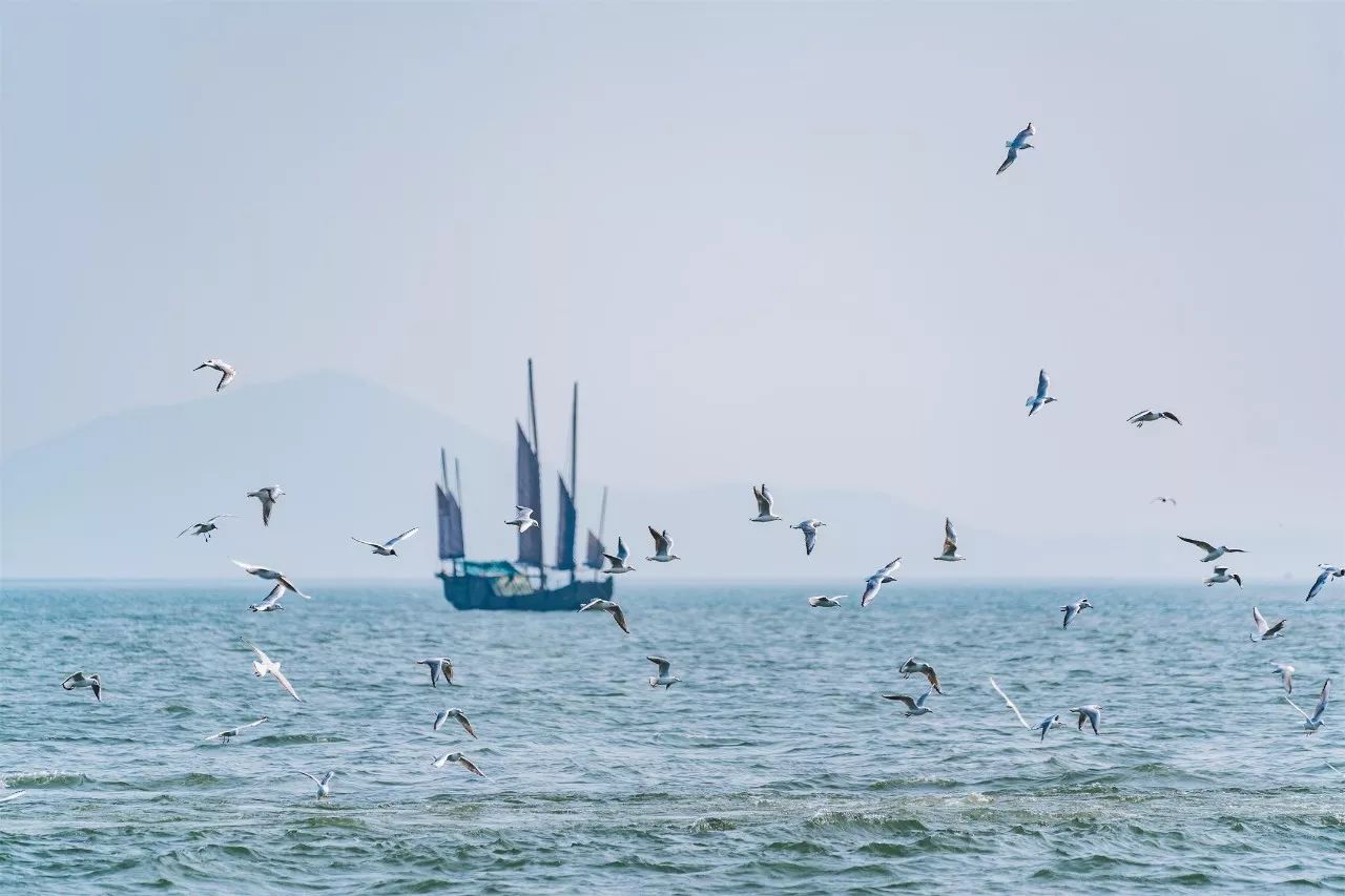 蘇州·泊悅灣，城市鄉(xiāng)村間人們何嘗不是兩棲動(dòng)物