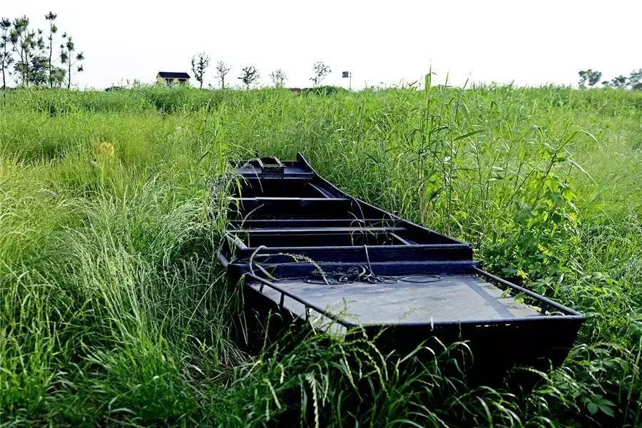 蘇州·泊悅灣，城市鄉(xiāng)村間人們何嘗不是兩棲動物