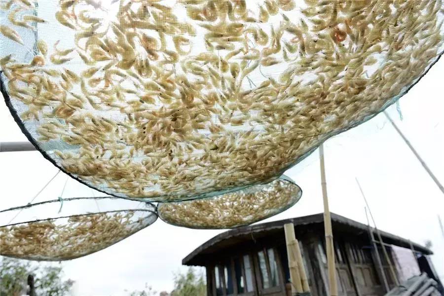 蘇州·泊悅灣，城市鄉(xiāng)村間人們何嘗不是兩棲動物