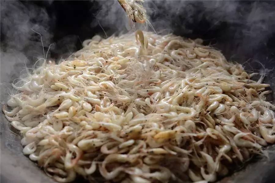 蘇州·泊悅灣，城市鄉(xiāng)村間人們何嘗不是兩棲動物