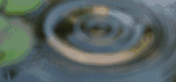 蘇州·泊悅灣，城市鄉(xiāng)村間人們何嘗不是兩棲動(dòng)物