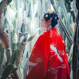 紅衣仙鶴帶傘女生頭像，唯美古風(fēng)真人頭像