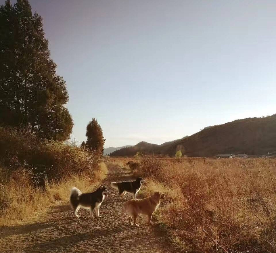 麗江束河·雲(yún)山南，相愛真的是一種奇跡