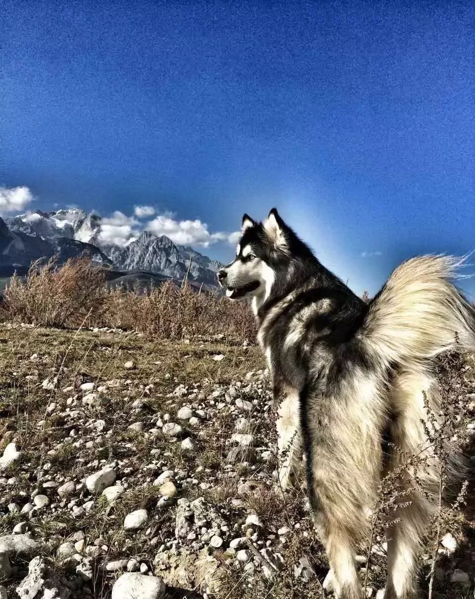 麗江束河·雲(yún)山南，相愛真的是一種奇跡