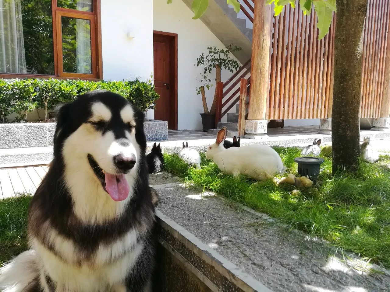 麗江束河·雲(yún)山南，相愛真的是一種奇跡