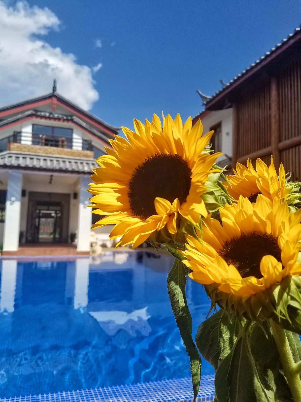 麗江束河·雲(yún)山南，相愛真的是一種奇跡