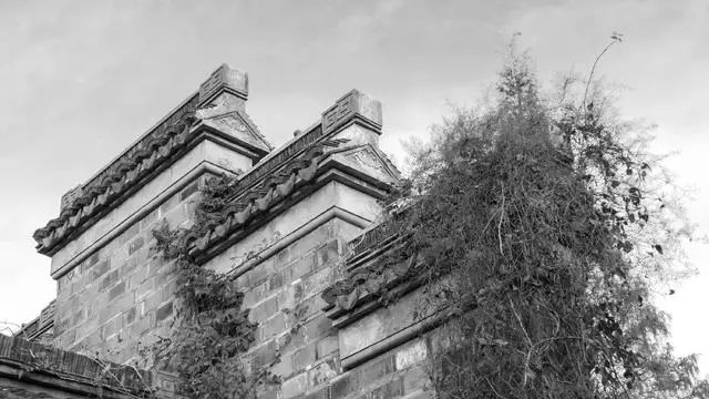 筱駐·山塘，在古鎮(zhèn)悠哉自在的遺世獨(dú)立