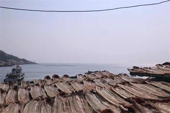 東極·塵曦，絕美的日出和嶄新的開(kāi)始在等我