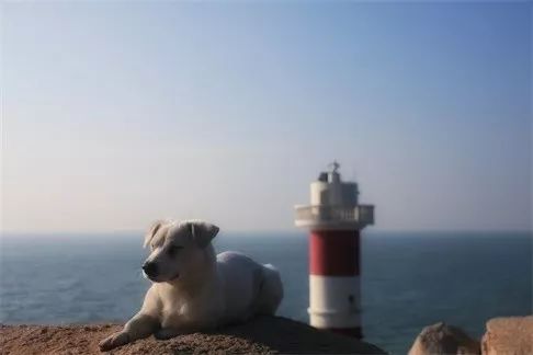 東極·塵曦，絕美的日出和嶄新的開(kāi)始在等我