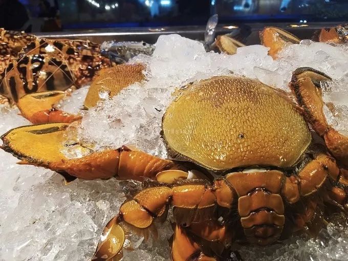 普吉島·寓薦，曬太陽吹海風過溫暖的海島生活