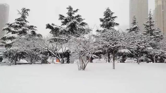普吉島·寓薦，曬太陽(yáng)吹海風(fēng)過(guò)溫暖的海島生活