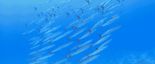 普吉島·寓薦，曬太陽吹海風(fēng)過溫暖的海島生活