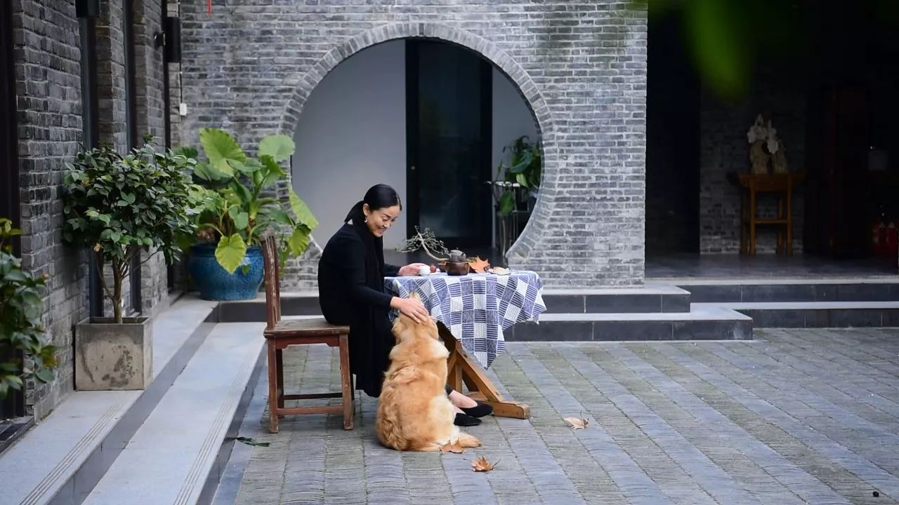 南京·老樹院子山囿里,與時(shí)光慢揉在一起彼此沉