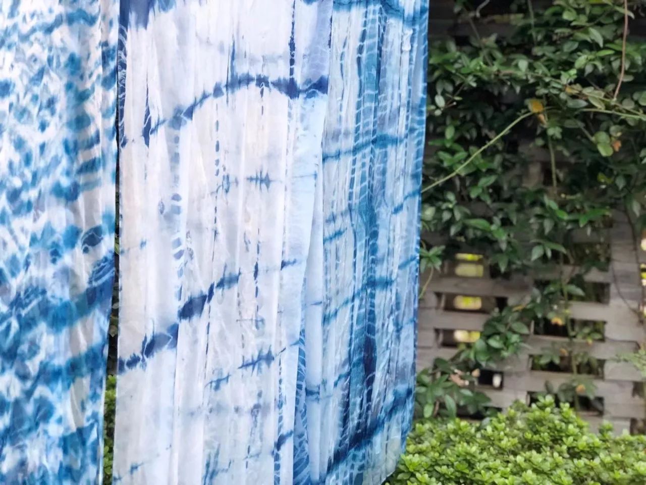 南京·老樹院子山囿里,與時(shí)光慢揉在一起彼此沉