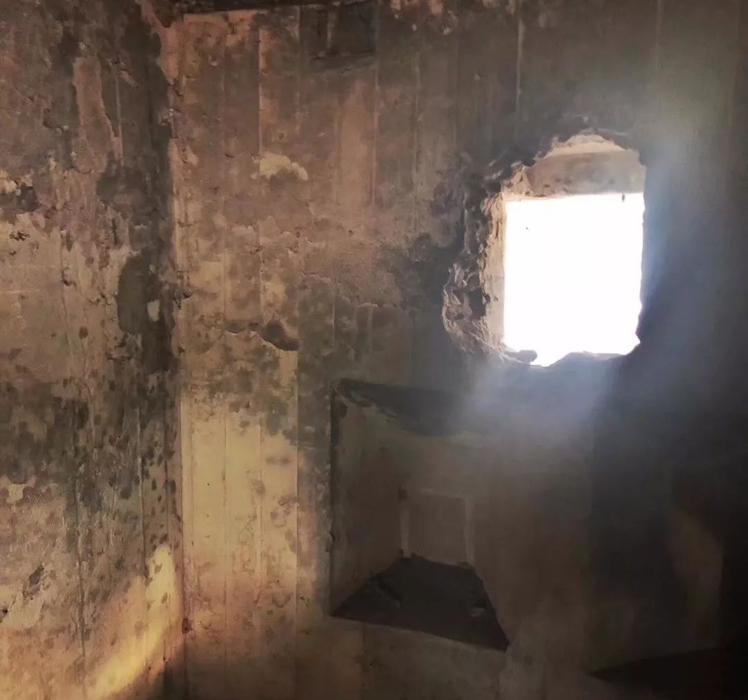 南京·老樹院子山囿里,與時(shí)光慢揉在一起彼此沉