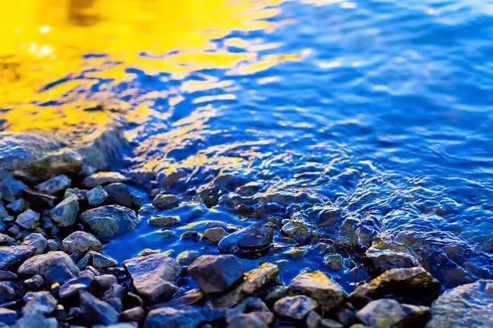 南京·老樹(shù)院子山囿里,與時(shí)光慢揉在一起彼此沉