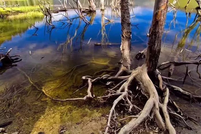 南京·老樹(shù)院子山囿里,與時(shí)光慢揉在一起彼此沉