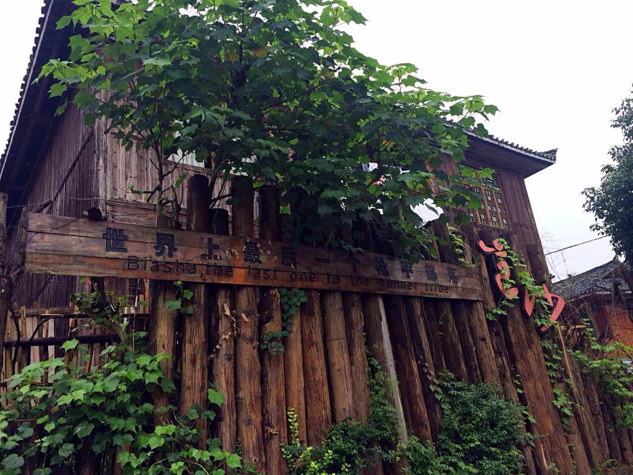 南京·老樹(shù)院子山囿里,與時(shí)光慢揉在一起彼此沉