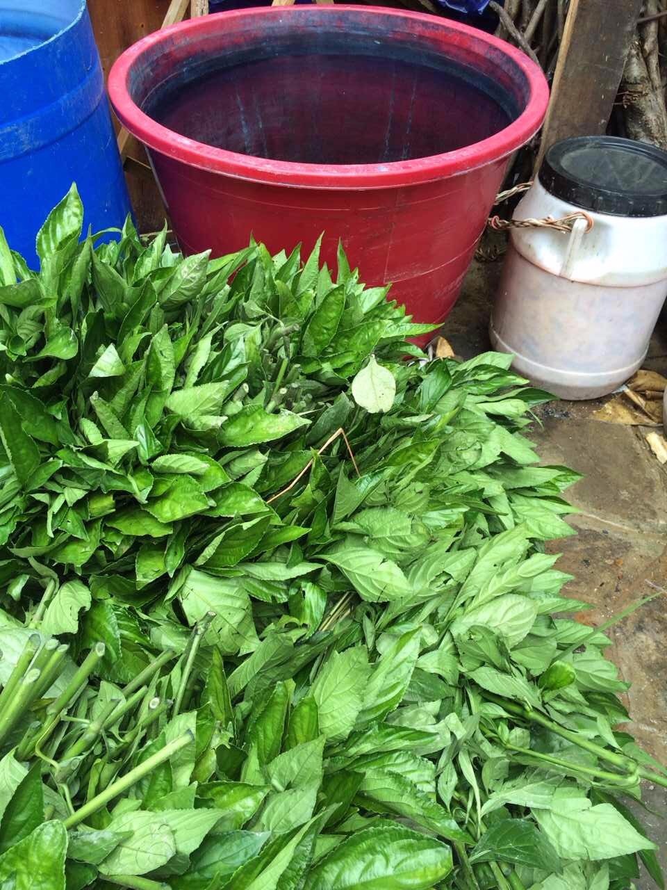 南京·老樹(shù)院子山囿里,與時(shí)光慢揉在一起彼此沉