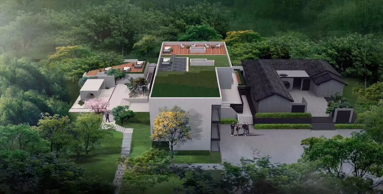 南京·老樹(shù)院子山囿里,與時(shí)光慢揉在一起彼此沉