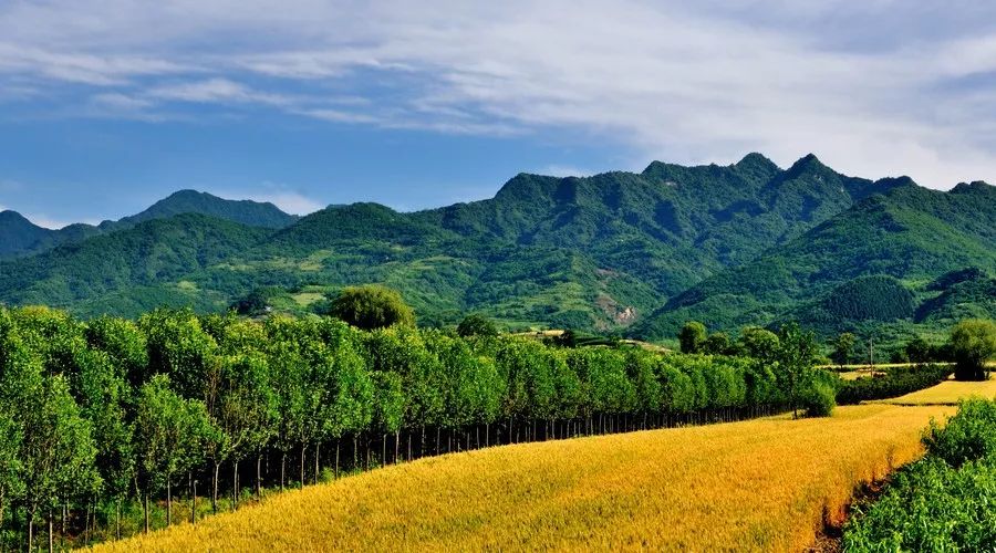 蜀中驛瓦舍旅行酒店，雅安年輕人的「老地方」