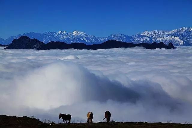 蜀中驛瓦舍旅行酒店，雅安年輕人的「老地方」