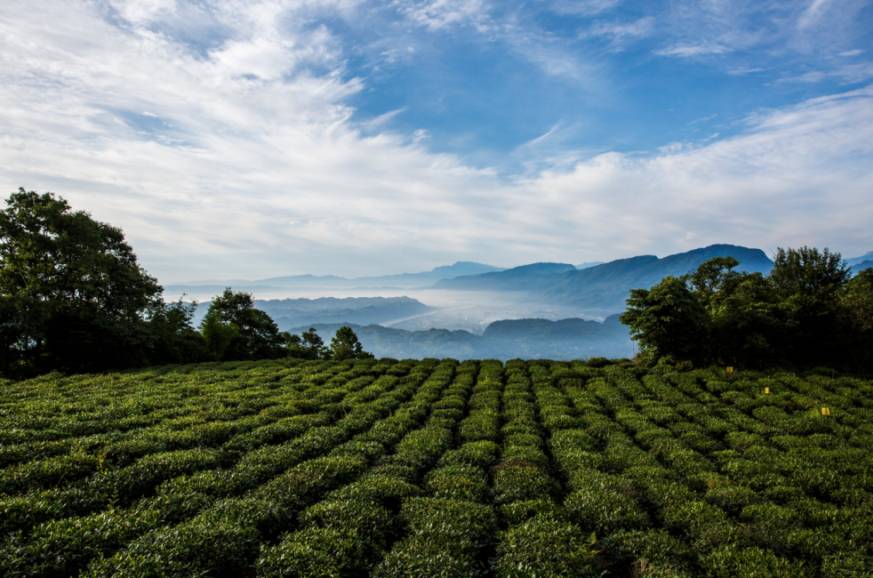 蜀中驛瓦舍旅行酒店，雅安年輕人的「老地方」