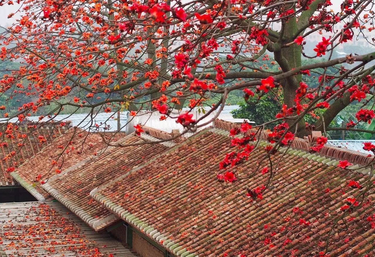 廣州·喜臨院，給這些念舊又深情的人一個禮物