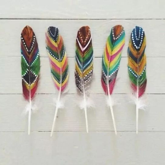 藝術(shù)源于生活:驚艷的彩繪羽毛!