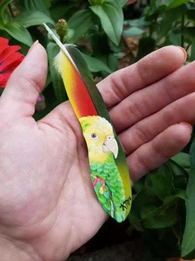 藝術源于生活：驚艷的彩繪羽毛!