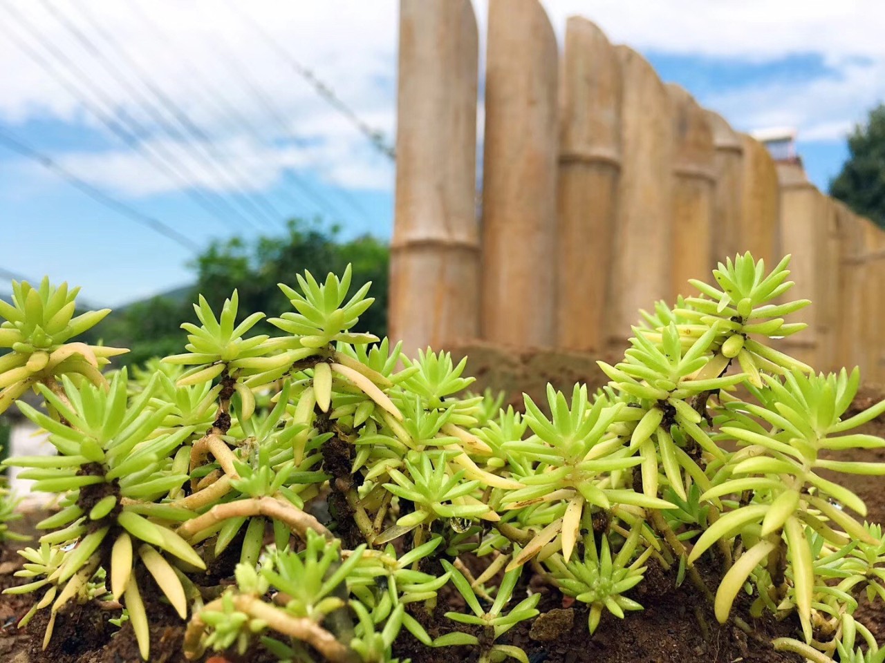 南京·匠村臥香，活在當(dāng)下傾我所有去生活