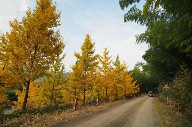 杭州·蓮社溪客，不妥協(xié)的人生才比較有趣