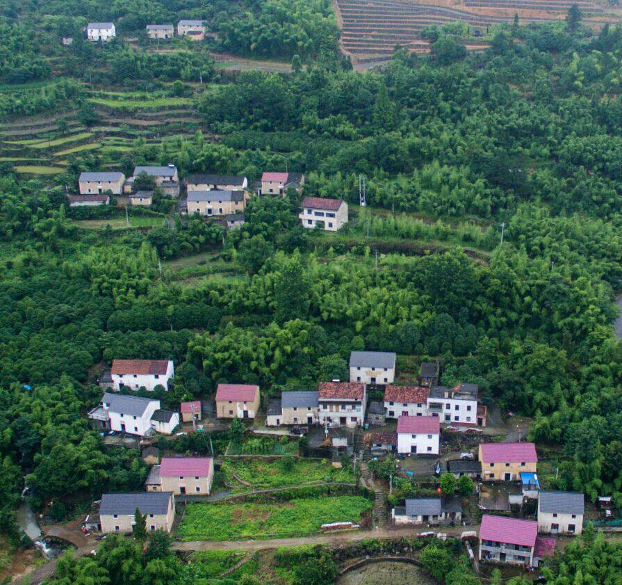 杭州·蓮社溪客，不妥協(xié)的人生才比較有趣