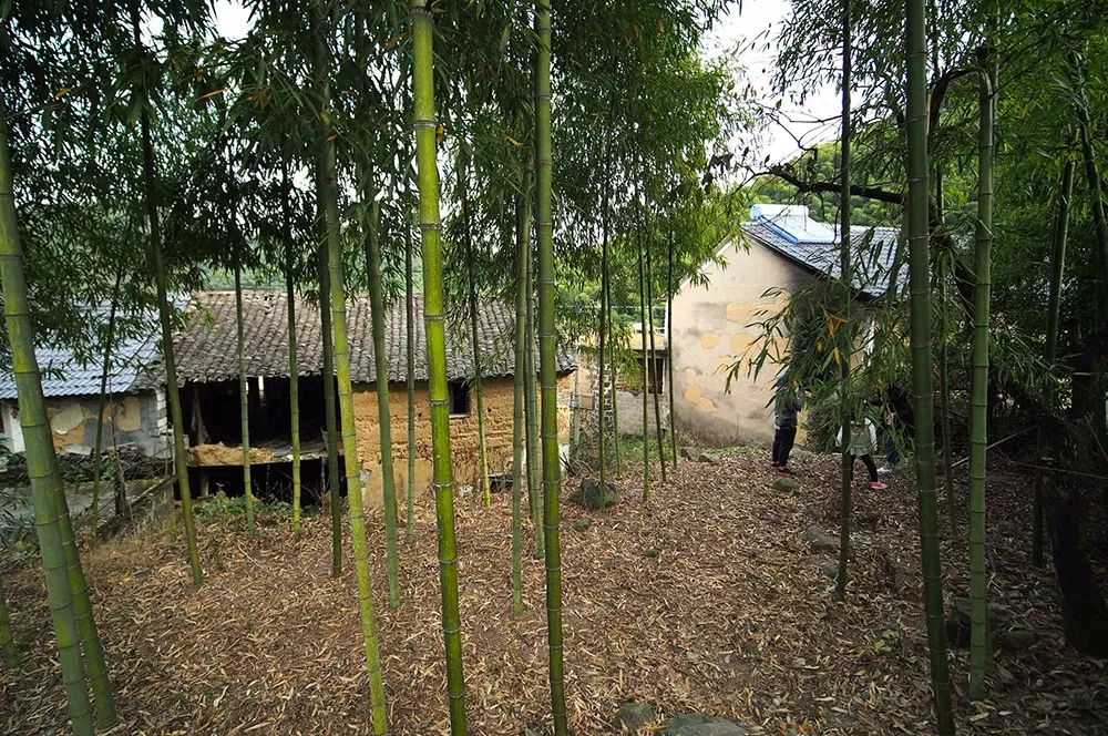 杭州·蓮社溪客，不妥協(xié)的人生才比較有趣