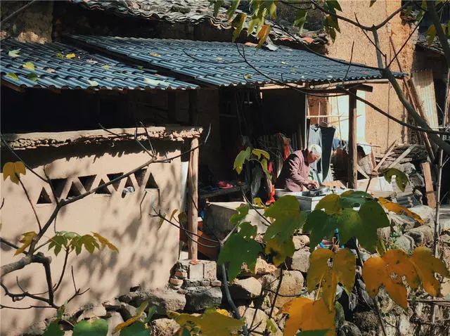 杭州·蓮社溪客，不妥協(xié)的人生才比較有趣