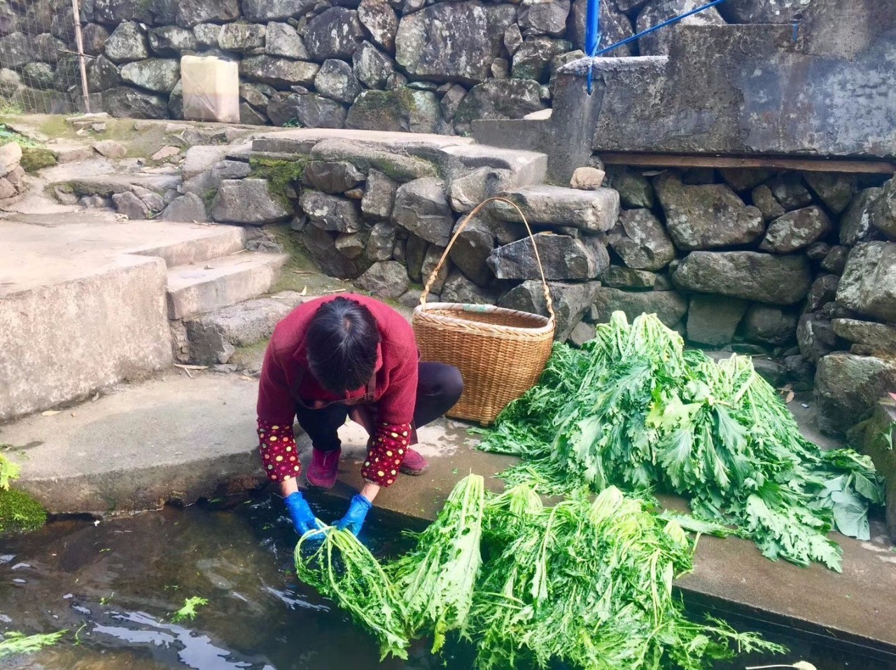 讓時(shí)光和經(jīng)歷變成一本書(shū)：中國(guó)首家圖書(shū)館民宿