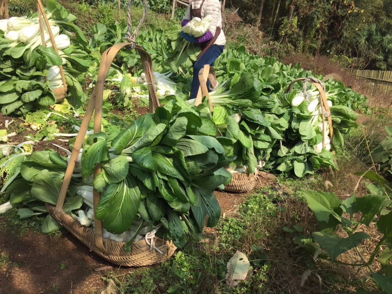 讓時(shí)光和經(jīng)歷變成一本書(shū)：中國(guó)首家圖書(shū)館民宿