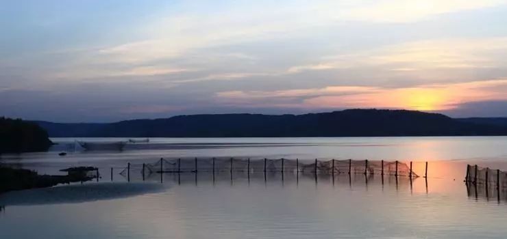 江蘇·兩可間，喚起心底一絲對傳統(tǒng)藝術(shù)的感念