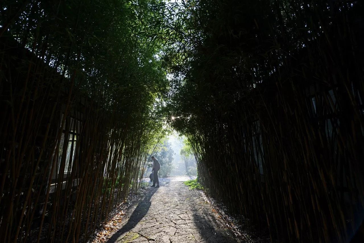 江蘇·兩可間，喚起心底一絲對(duì)傳統(tǒng)藝術(shù)的感念