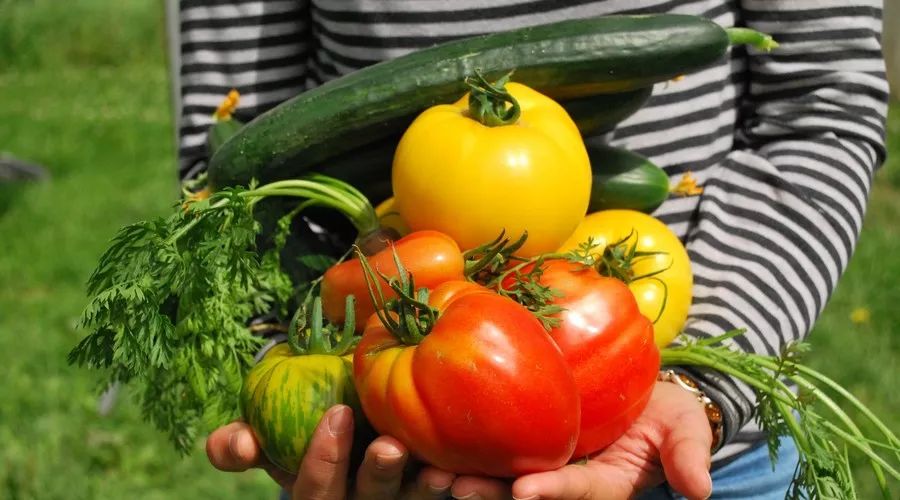 江蘇·兩可間，喚起心底一絲對傳統(tǒng)藝術(shù)的感念