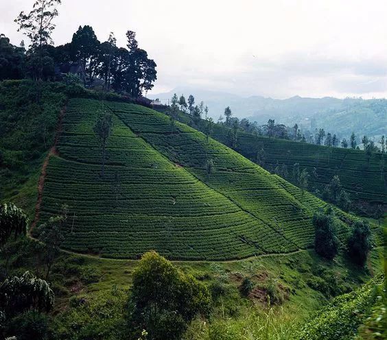 一同山居，骨子有靈魂的禪意山居!