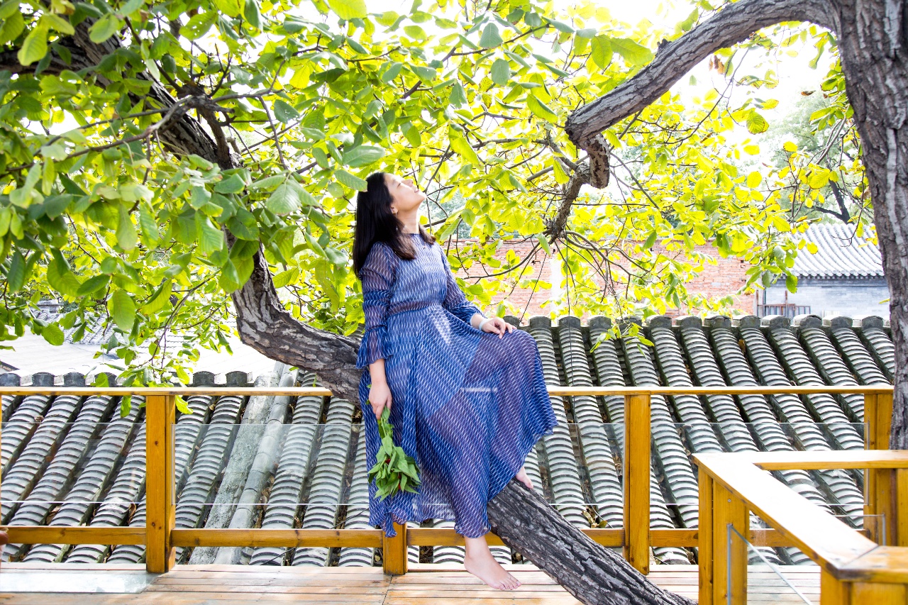 京城·63號院子，有院子老樹老北京的煙火氣息