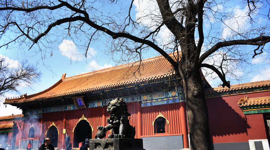 京城·63號院子，有院子老樹老北京的煙火氣息