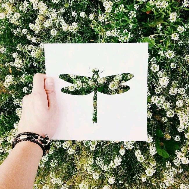 換個角度看世界：把剪紙帶進(jìn)大自然