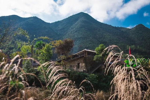 麗水·曼山居，依山而居便不知人間是何夕