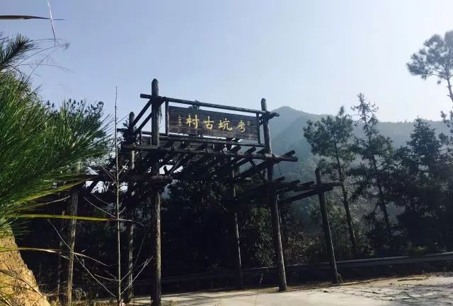 麗水·曼山居，依山而居便不知人間是何夕